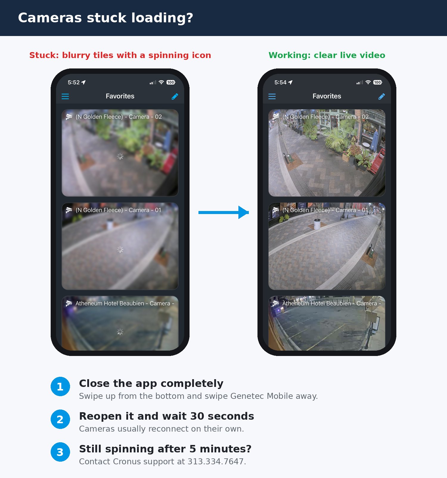 Camera tiles stuck with a spinning icon next to camera tiles showing live video